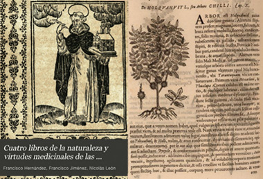 Four books of nature and medicinal virtues of the plants and animals of the new Spain - Spanish and Latin versions