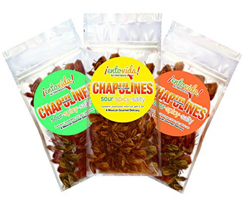 Chapulines sampler pack - 3 flavors of roasted chile grasshoppers