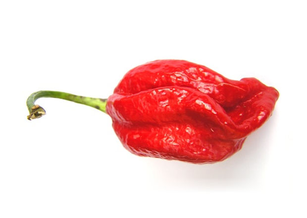 Red Naga Viper chile pepper with stem