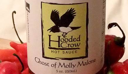 Hooded Crow - Ghost of Molly Malone